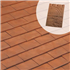 Tuile plate 20/30