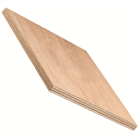 Panneau contreplaqué COMBIPLEX Okoumé standard collage Classe 3 122 CM x 2,5 M - 5 MM