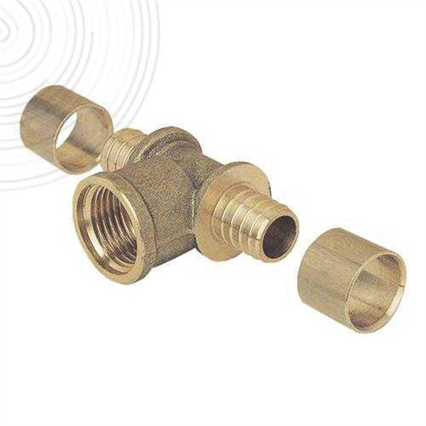 Te femelle fixe 12-1/2