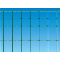 EXEPLUS 100X50 CM150 FIL 2.4 MM V