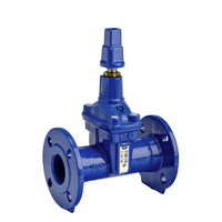 VANNE 02/75 FSH CARRE DN60/65 PN10/16