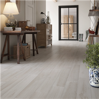 Carrelage sol intérieur effet bois en grès cérame émaillé - Boisé Edilis - 90,0 CM x 15,0 CM - ép. 10,00 MM - Coloris Frêne