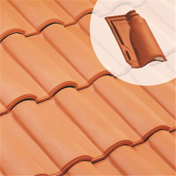 Tuile chatière en terre cuite - Méridionale Poudenx - section 20 cm² - Rouge