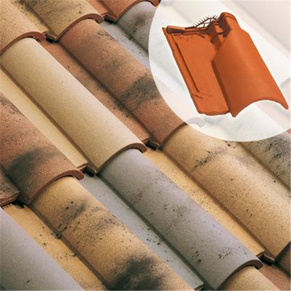 Tuile chatière en terre cuite - Oméga 10 - section aération 33 cm² - Vieux toit