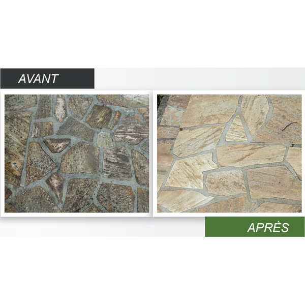 Nettoyant dégraissant pour dallage et terrasse - Algiclean - bidon de 1 litre