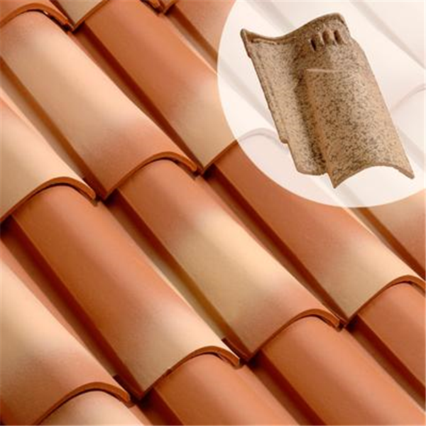 Tuile chatière CANAL S (112.20)