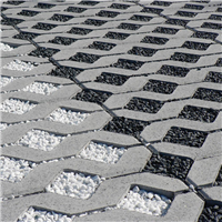 DALLE GAZON 40X60X8 GRIS