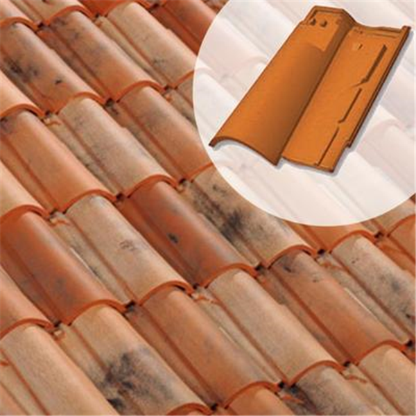 Tuile chatière - Horizon 12 ou Latitude 12 - 61LD - Vieilli castel