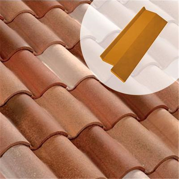 Rive bardelis droite 19XG