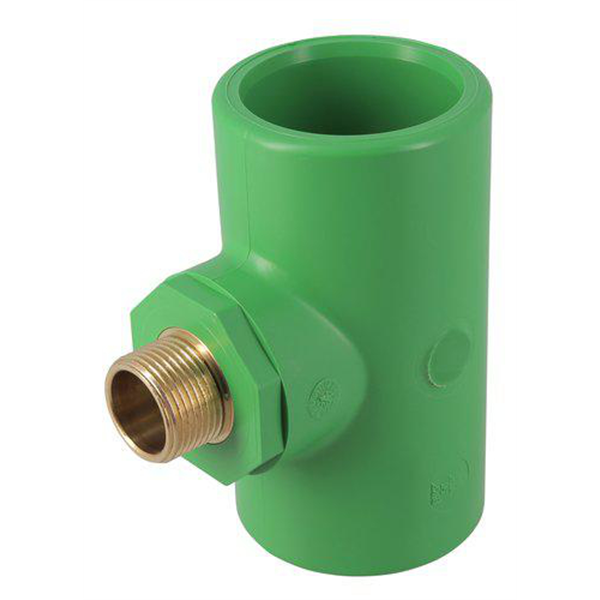 Kryo te filete 50x3/4