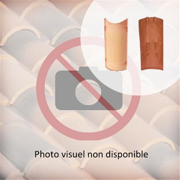 Tuile Canal terre cuite Tradi'fix Tegula 40 - Vieilli