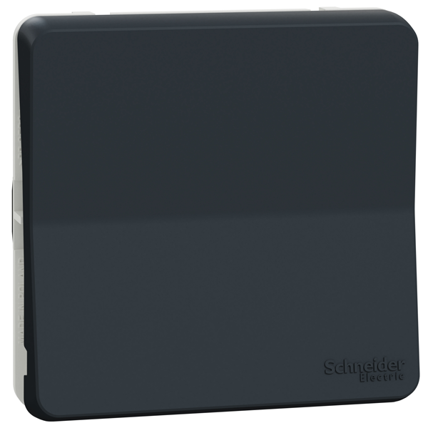 Interrupteur va-et-vient Schneider Mureva Styl - IP55 - IK08 - gris anthracite - 10AX 250V