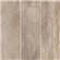 tortora.png