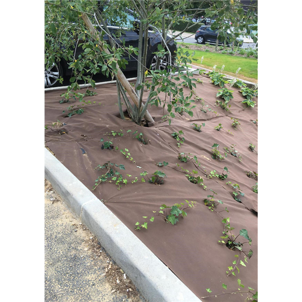 PREMIUM NT - 3,20 m x 100 m - Non tissé 1 face marron 1 face noire