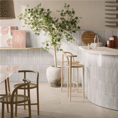 Faïence brillante effet Zellige - Look Glossy - 24,0 CM x 6,0 CM - ép. 10,00 MM - Bianco