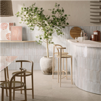 Faïence brillante effet Zellige - Look Glossy - 24,0 CM x 6,0 CM - ép. 10,00 MM - Bianco