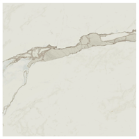 Carrelage intérieur en grès cérame émaillé effet pierre Exigo - 60,0 cm x 60,0 cm - ép. 8,00 mm - Calacatta