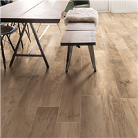 Plinthe WOODGÉNÉRATION ÉDILIS effet bois Miel - 6 CMx60 CM