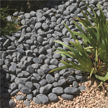 Galet noir ébano 40x60 mm