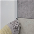 Profilé de bordure à clipser Gerflor pour dalle et panneau mural Revela - alu - 15,0 MM x 6,3 MM - long. 2,60 M