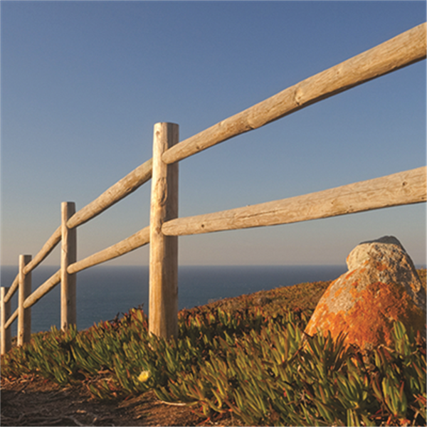 Rondin de bois fraisé en pin - traité classe 4 vert - diamètre 80 mm - longueur 3,00 M