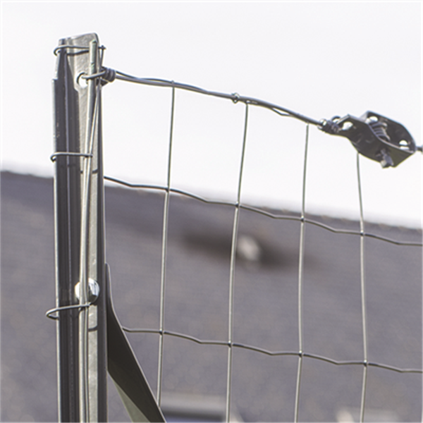 Barre de tension plastifiée pour clôtures en rouleaux - Hauteur 1,55  m - Diamètre Ø 7 mm - Vert