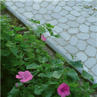 BORD JARDIN 5X30X100 GRISE