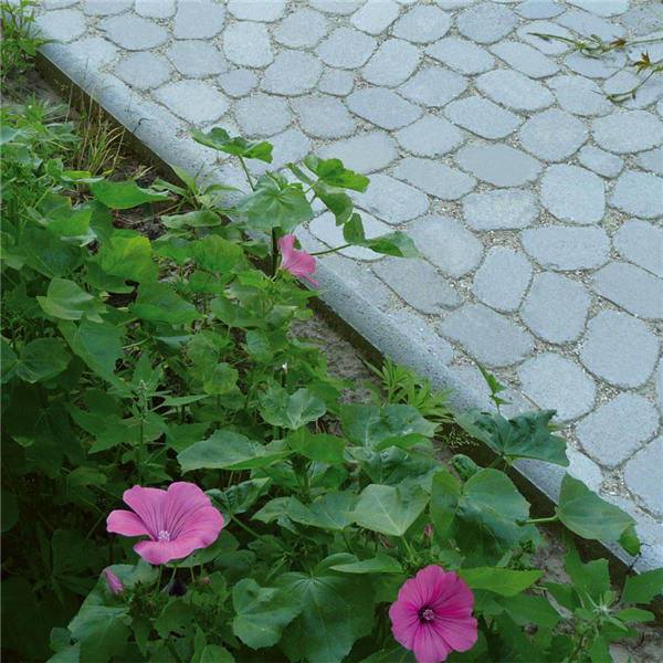 BORD JARDIN 5X30X100 GRISE