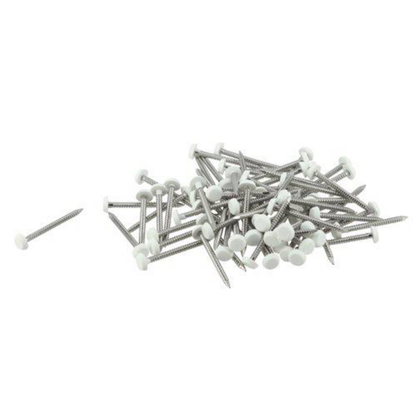 POINTE INOX 30MM ANNELEE TETE SURMOULEE BLANC