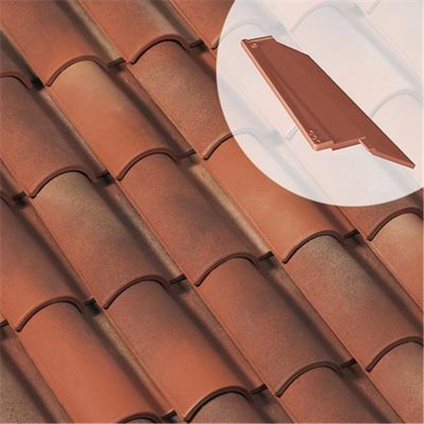 Rive bardelis droite AK040