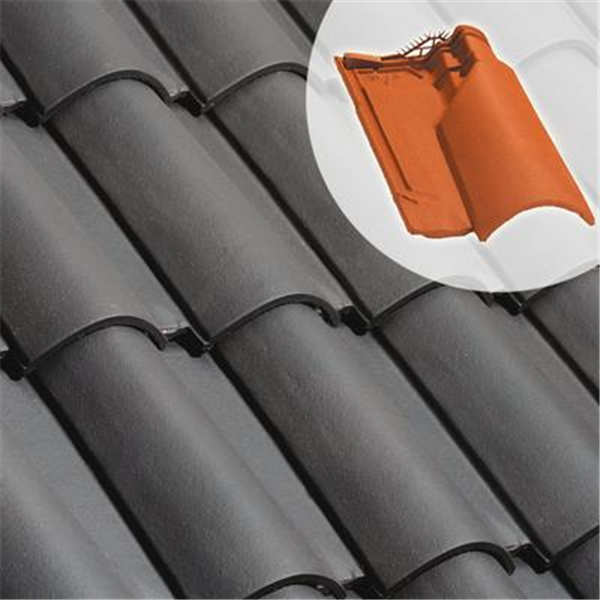 Tuile chatière en terre cuite - Oméga 10 - section aération 33 cm² - Ardoise