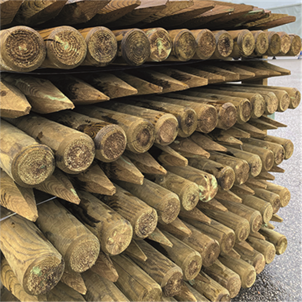 Piquet en Pin épointé et chanfreiné - Diam. 60 mm - Traité Classe 4 Vert - L.1,50 M