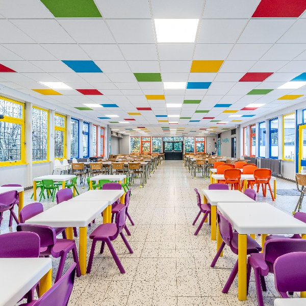 Porteur Quick-Lock T24 Hook-On pour faux plafond - acier prélaqué Blanc - 3,60 M