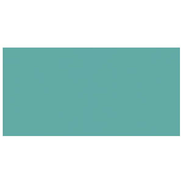 Faïence salle de bain Color One - 20,0 CM x 40,0 CM - ép. 7,00 MM - Turquoise mat