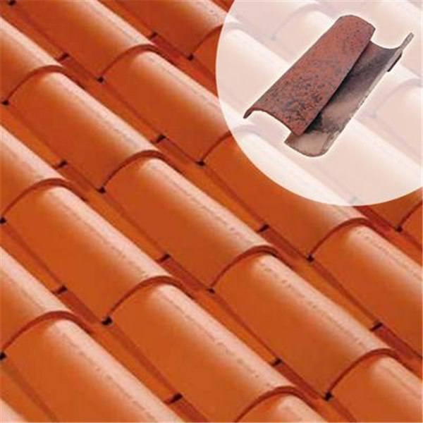 Tuile Canal LANGUEDOCIENNE à talon pressée de courant, dessous (75CL)