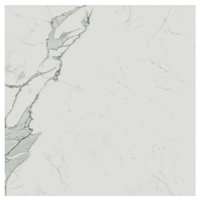 Carrelage intérieur en grès cérame émaillé effet pierre Exigo - 60,0 cm x 60,0 cm - ép. 8,00 mm - Statuario