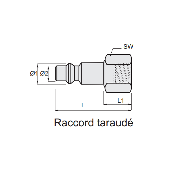 Embout raccord rapide air comprimé ISO 6150B 1/4 femelle Ø 5,5 mm Lacmé