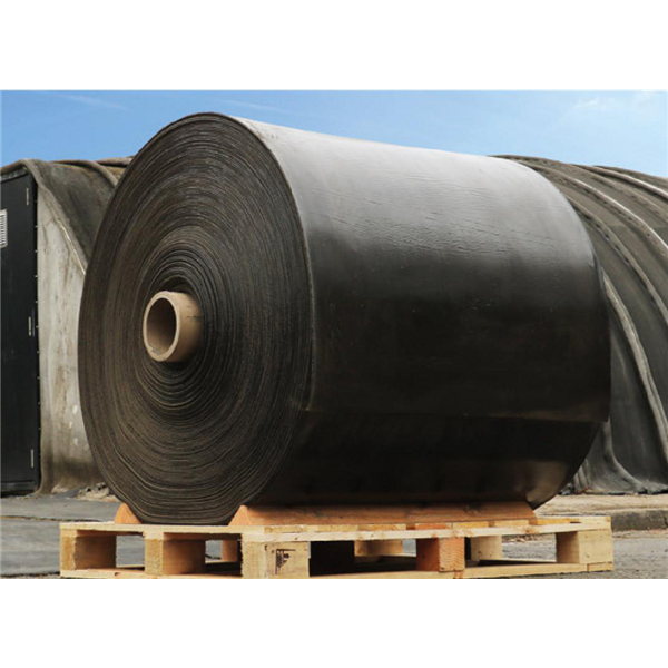 CIMTEX T1  épaisseur 5mm - Béton en rouleau - PETIT RL 10X1    LE  M2