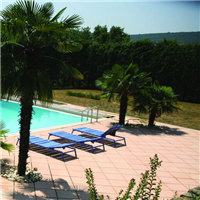 DALLE CALAN 50X50X5 VENT S4 4PC/M2