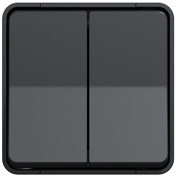 Interrupteur double va-et-vient en saillie Schneider Mureva Styl complet - IP55 - IK08 - anthracite - 10AX 250V