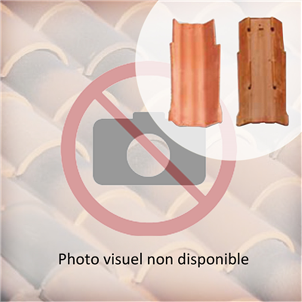 Tuile de rive fond plat Charentes - Vieilli