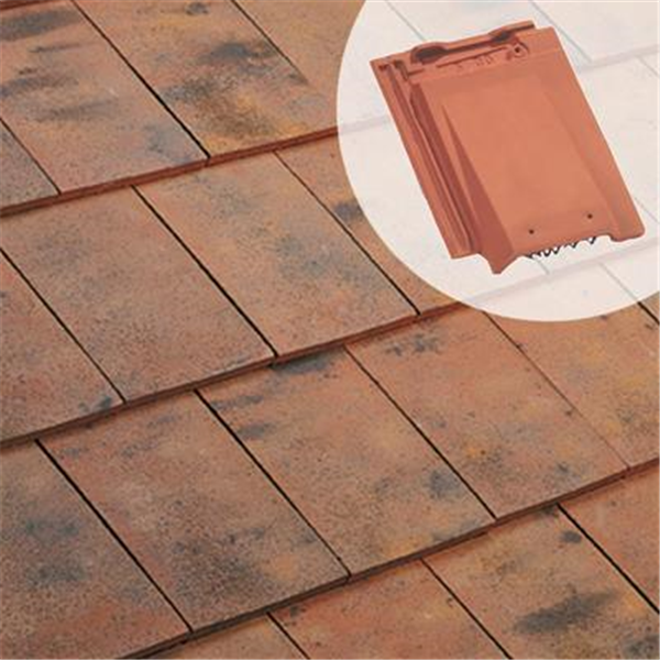 Tuile de ventilation chatière BEAUVOISE