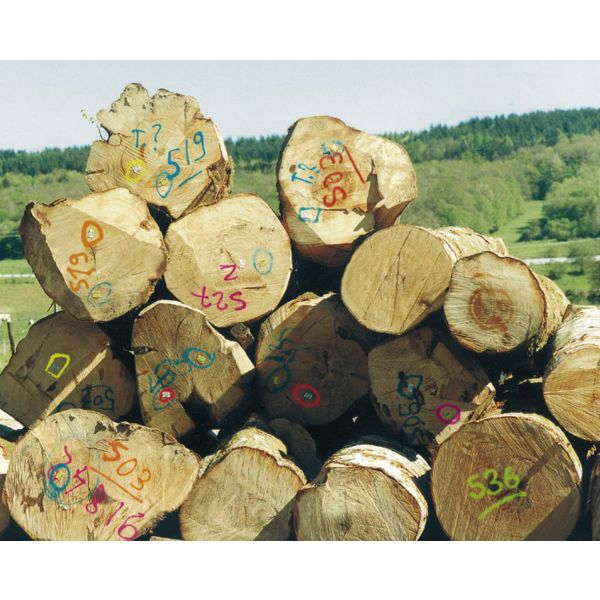 Traceur forestier Fluo Marker durée 12 mois vert fluorescent 500 ml