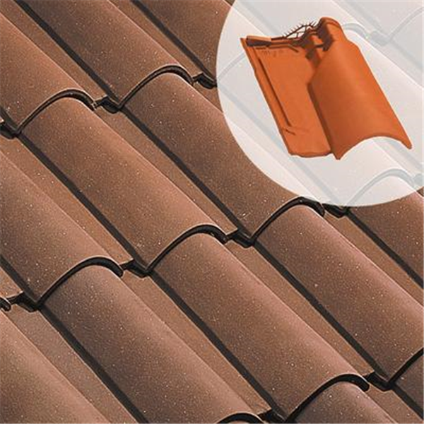 Tuile chatière en terre cuite - Oméga 10 - section aération 33 cm² - Vieilli masse