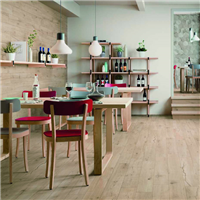 Carrelage intérieur grès cérame émaillé rectifié effet bois Woodtale - 120,0 CM x 20,0 CM - ép. 9,50 MM - Miele