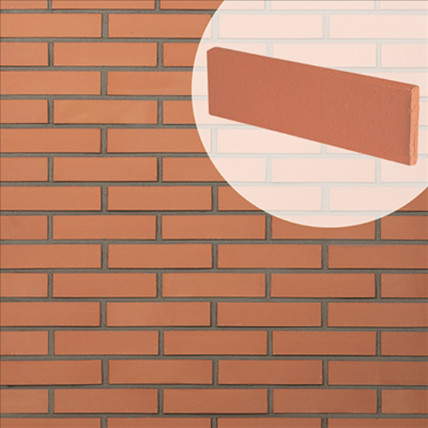 Plaquette de parement mural en terre cuite lisse Terreal Rose - 22 CM x 5 CM - épaisseur 14 MM