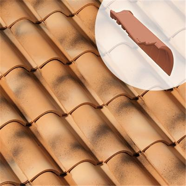 Rive ronde droite Feriane - SO036