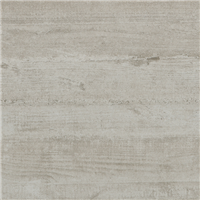 Carrelage sol intérieur effet "bois" CANADA Edilis - Toronto - 61,3 CMx30,3 CM ép.9 MM