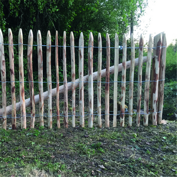 Clôture GANIVELLE en châtaigner Rouleau de 10 M - Hauteur 1.20 M