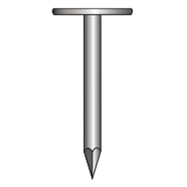 Pointe à tête extra-large galvanisée - Ø 2.70 x 30 mm - Boîte de 5 Kg